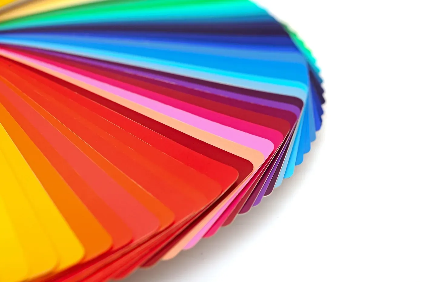 Washington Color Trends For 2020